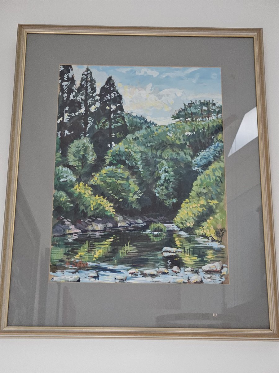 Harry Sutton tweet media