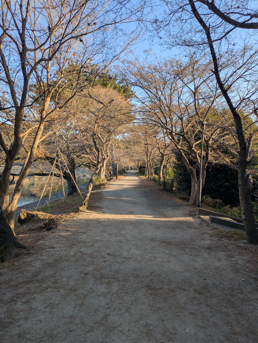 huru_ow's tweet photo. 足が勝手に宇治に…
夕暮れ時の宇治良すぎる。。 https://t.co/eWisxVsTP8