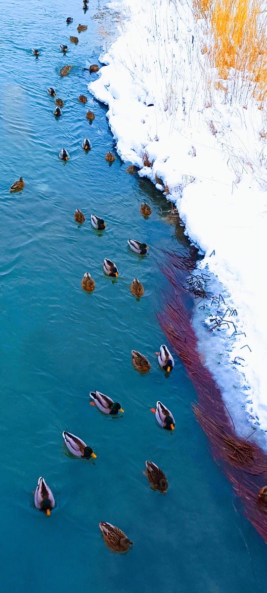 “Menfaat yaşamak, 
Ahlak ise yaşatmak ister;
Bir arada asla barınamazlar…”
Nurettin Topçu