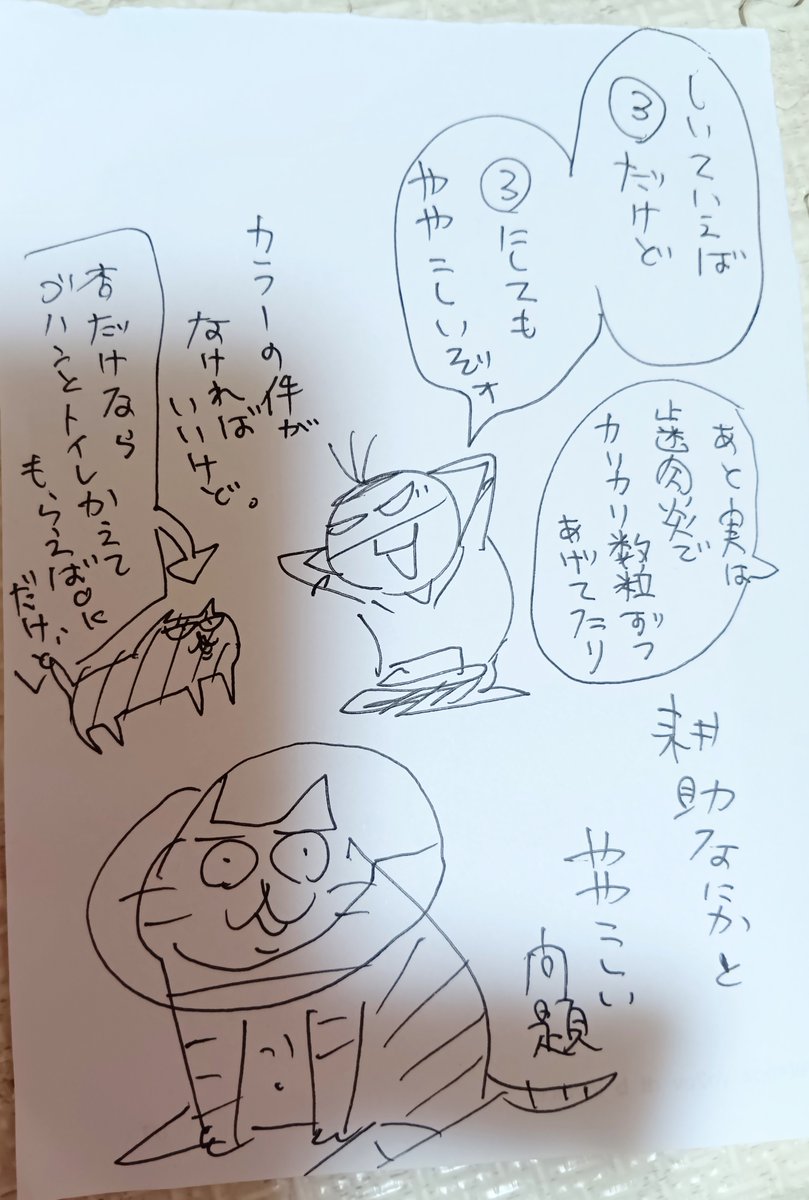 一人暮らしでマヒ猫飼ってて入院が厄介な話４

親に頼めば猫の世話にきてくれるらしいけど、耕助が圧迫排尿以外にも色々ややこしくて気が重い…