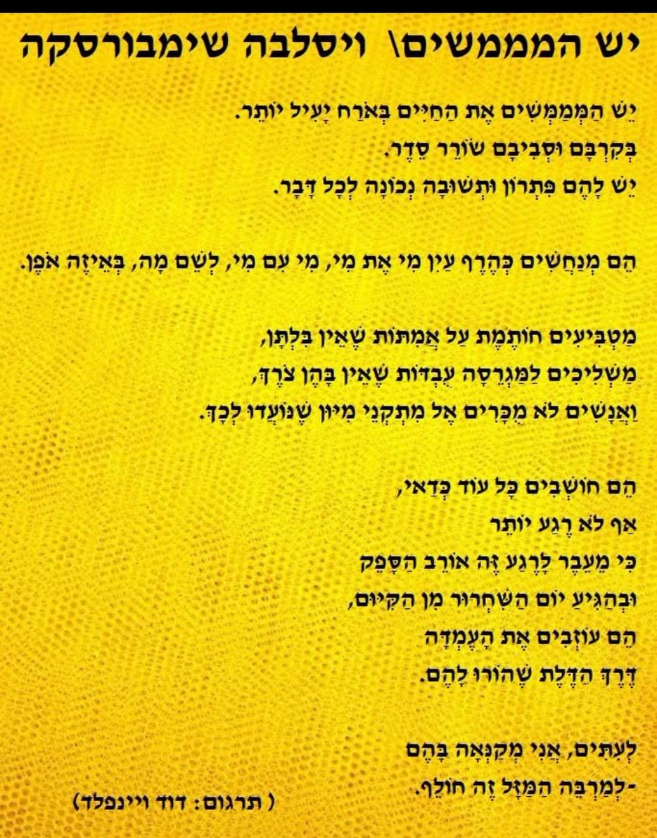 amitharp's tweet image. אף פעם לא קנאתי בהם