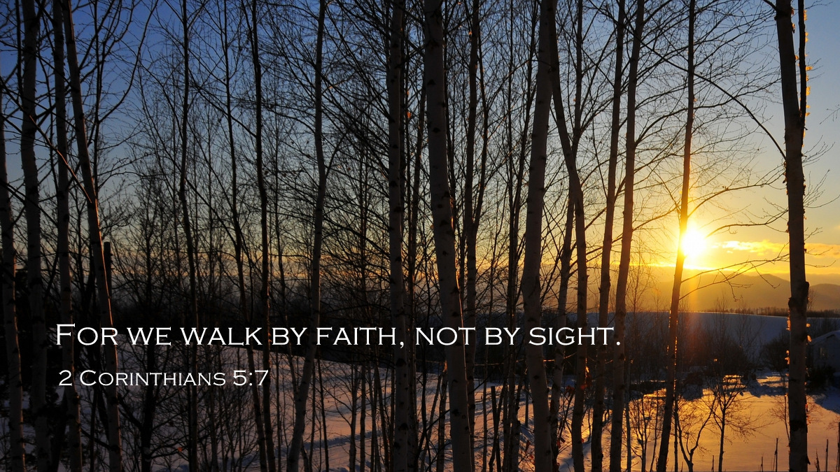 bible_line's tweet image. For we walk by faith, not by sight. (2 Corinthians 5:7)

わたしたちは、
見えるものによらないで、
信仰によって
歩いているのである。

2コリント5:7
口語訳 #聖書 #Bible