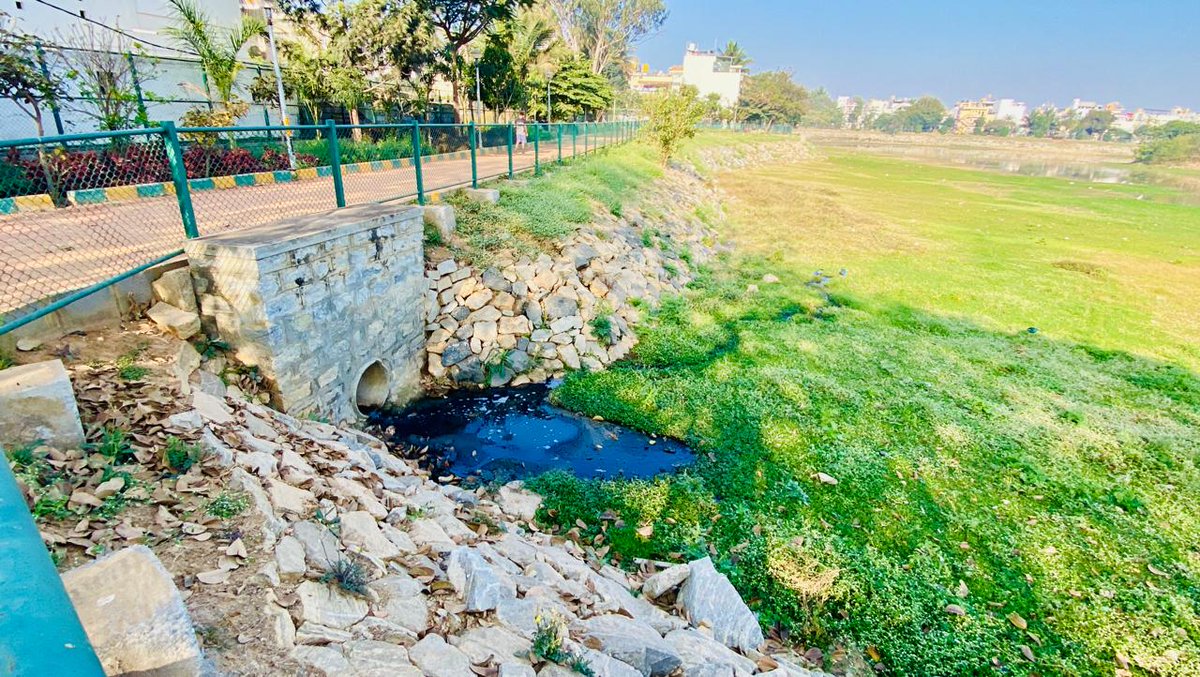 Raghavendra B Pachhapur tweet media