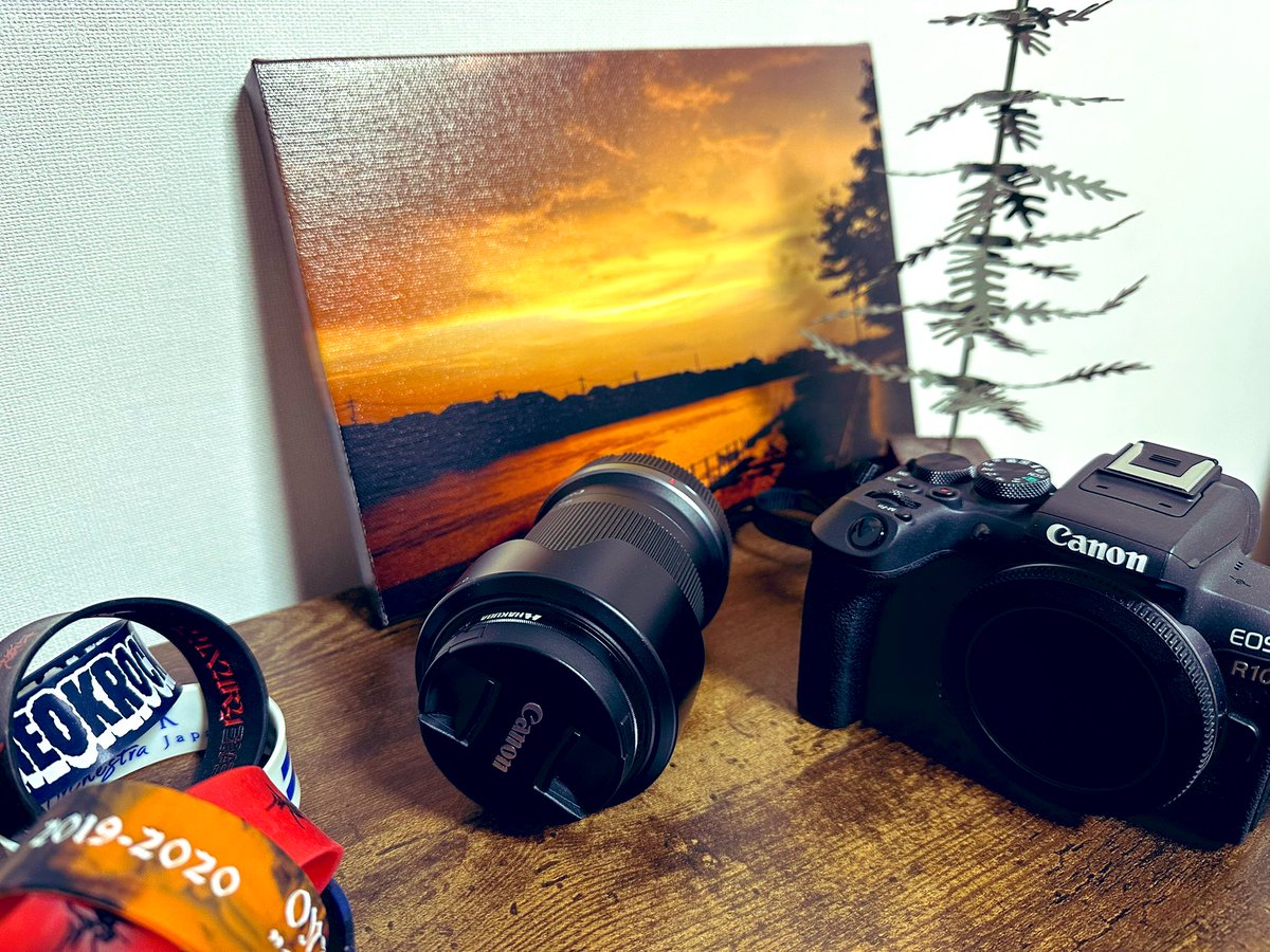 撮影データのバックアップ💻
今月は仕事が忙しいので撮影はおやすみかな😪