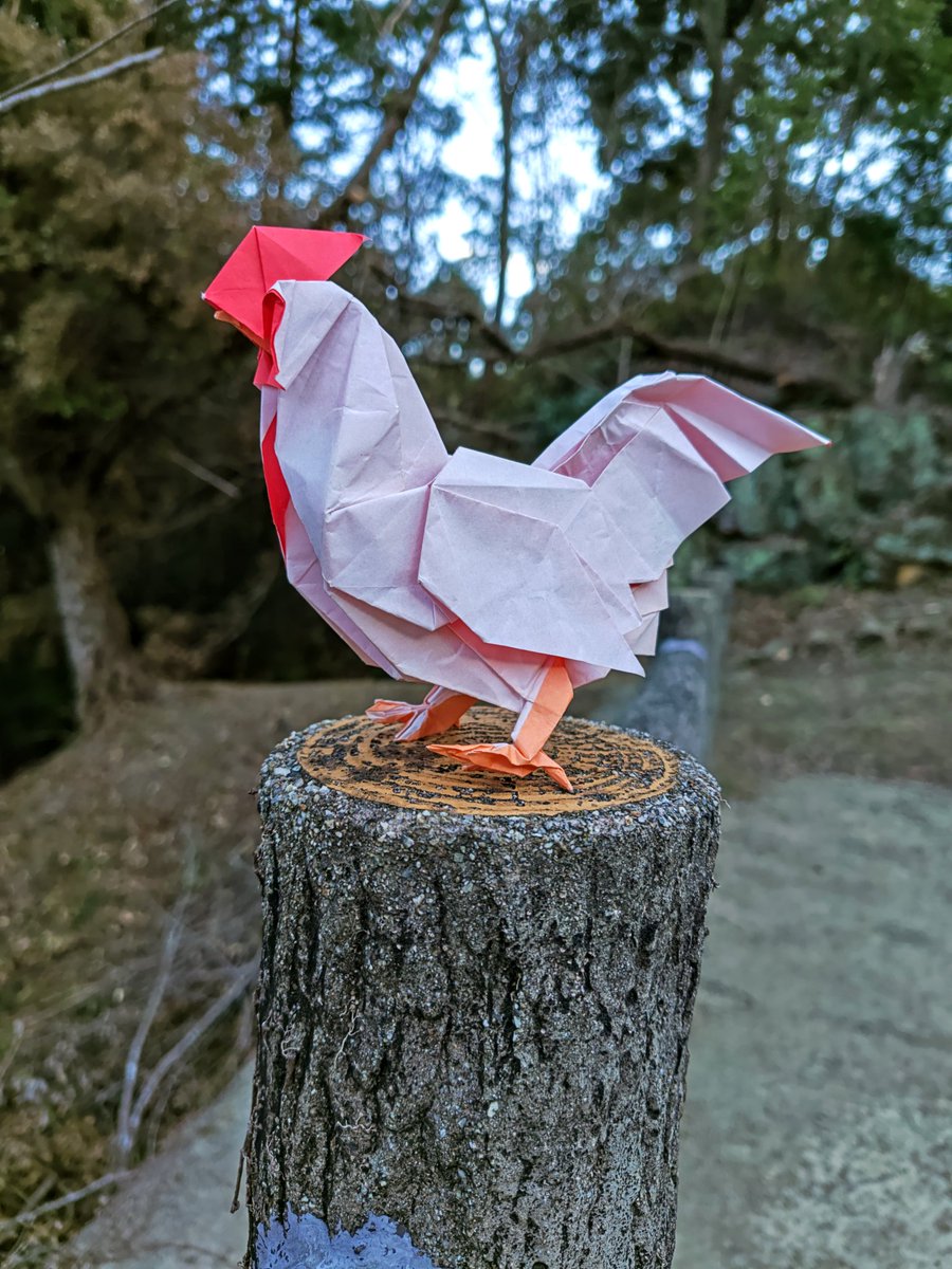 #超絶のおりがみ
勝田恭平さん創作
「ニワトリ」
赤紙25センチ
黄紙25センチ
二枚複合作品✨
初めてやったが、なかなか綺麗におさめるのが難しい作品🙌
ギリギリ形にはなった。
#勝田恭平さん #ニワトリ #折り紙 
#複合作品 #折り紙作品