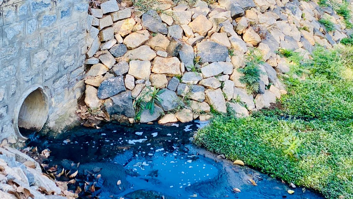 Raghavendra B Pachhapur tweet media