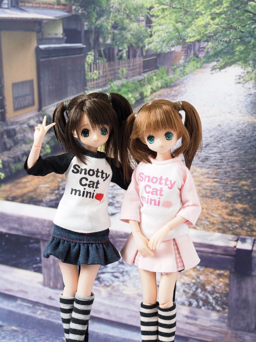 ほうほう。20周年で久々のちさニナも来るとな。