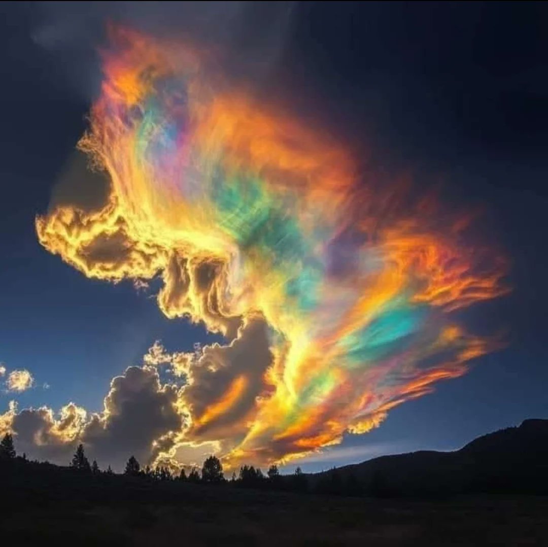 NightSkyToday's tweet image. Rare "Fire Rainbow", caused by sunlight refracting through ice crystals in high cirrus clouds!