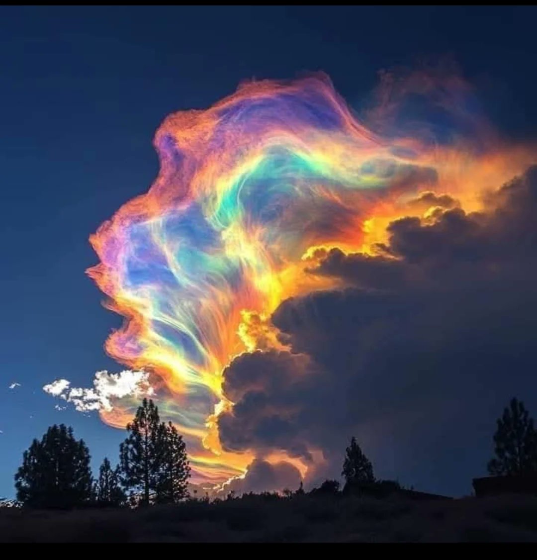 NightSkyToday's tweet image. Rare "Fire Rainbow", caused by sunlight refracting through ice crystals in high cirrus clouds!
