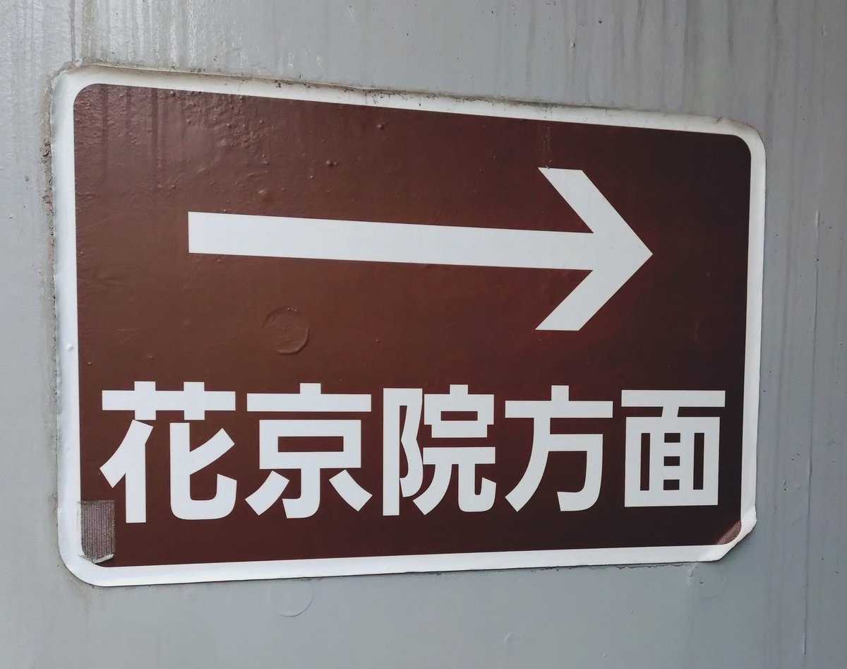 ⋆*✩姐御⋆*✩様おまとめ専用✦346✦ショップ看板✦60×24/A4/A3＋α