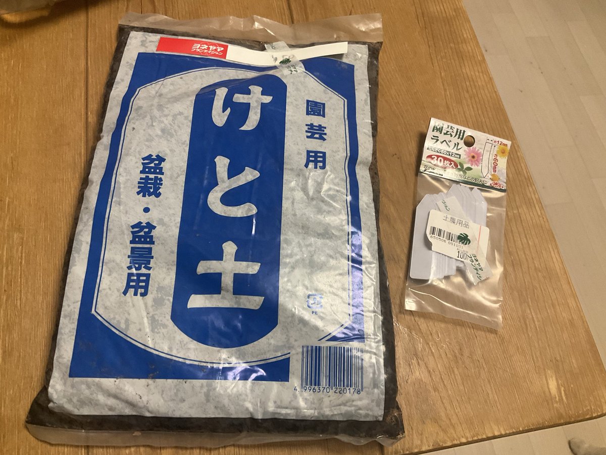 rrn's tweet image. ケト土50円で売ってた
盆栽を作りなさいという神のお告げか
タブレット化して埋めろというお告げの可能性もある