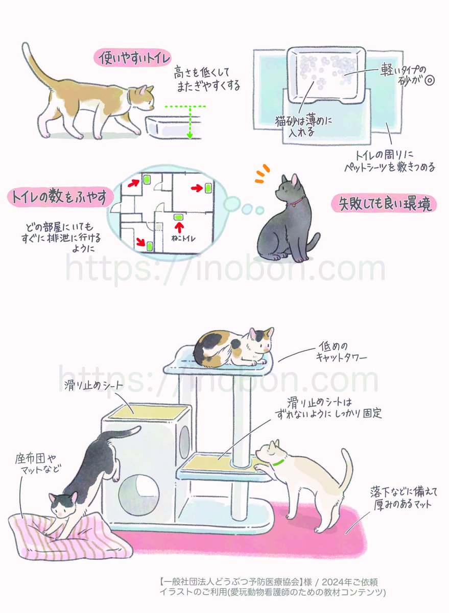 愛玩動物看護師の教育コンテンツを制作中である『一般社団法人どうぶつ予防医療協会』様よりご依頼✨

イメージ的な挿絵や図解など、こちらの教材テキストに利用してもらう挿絵を担当中😋
診療補助や看護だけでなく、介護、歯科、栄養指導などボリュームあります📕
公開が楽しみです♪
＃イラスト
＃猫
