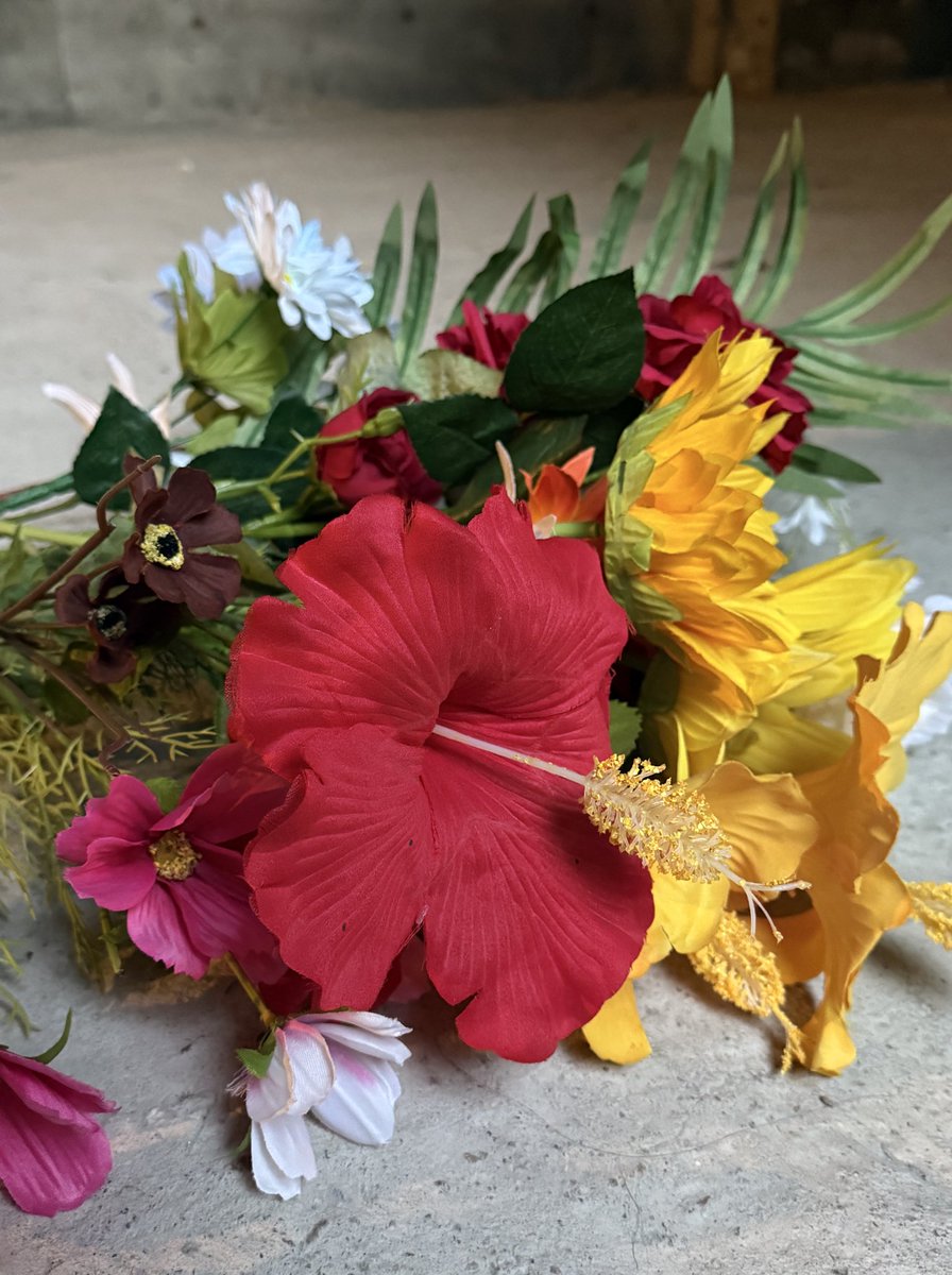 グラシーズ・撮影ポータル tweet media