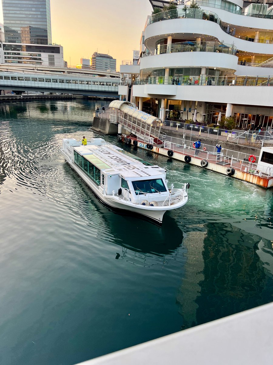 シーバスに
橋から手をふる
日曜日
#yokohama