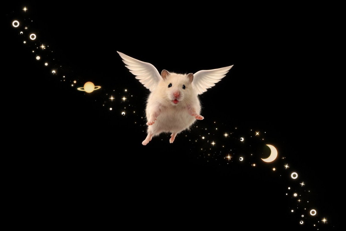 TweetsOfHamster's tweet image. ∴｡　
　･ﾟ*｡. 
　　･ *ﾟ
　 ･ ﾟ*
     🪐     
   *･｡
      *.｡ 
           ✨
              °*. ﾟ｡
                      °*.
                      ﾟ*.
                 🌙 ･
             ｡ ･ﾟ
       ｡°*.
    ｡*