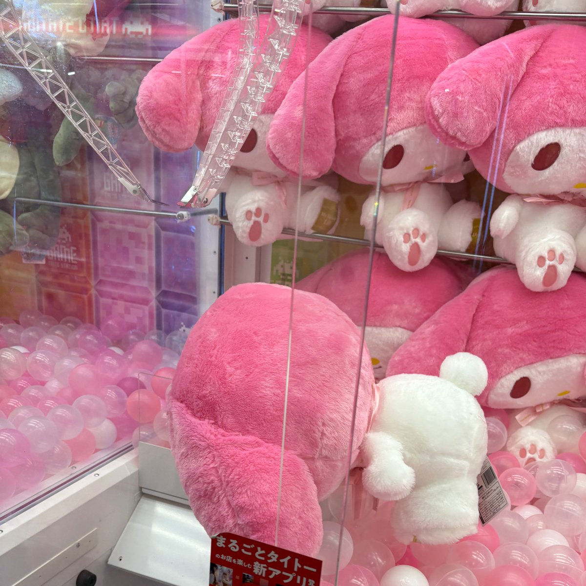 ねる🌎 tweet media