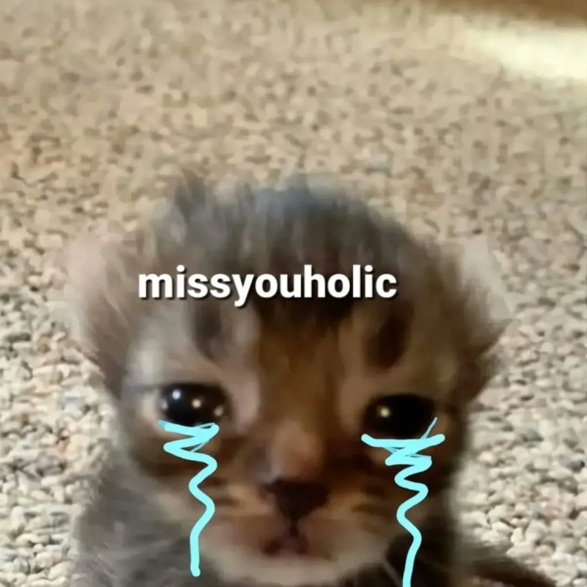 astralbaes's tweet image. 