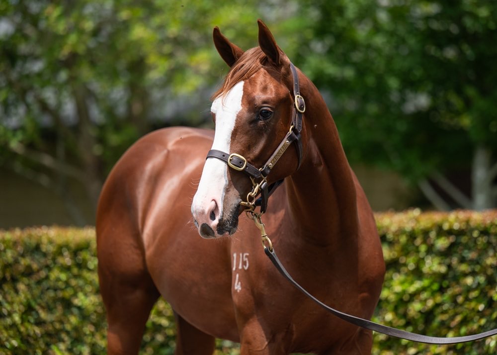 Darrell Burnet tweet media