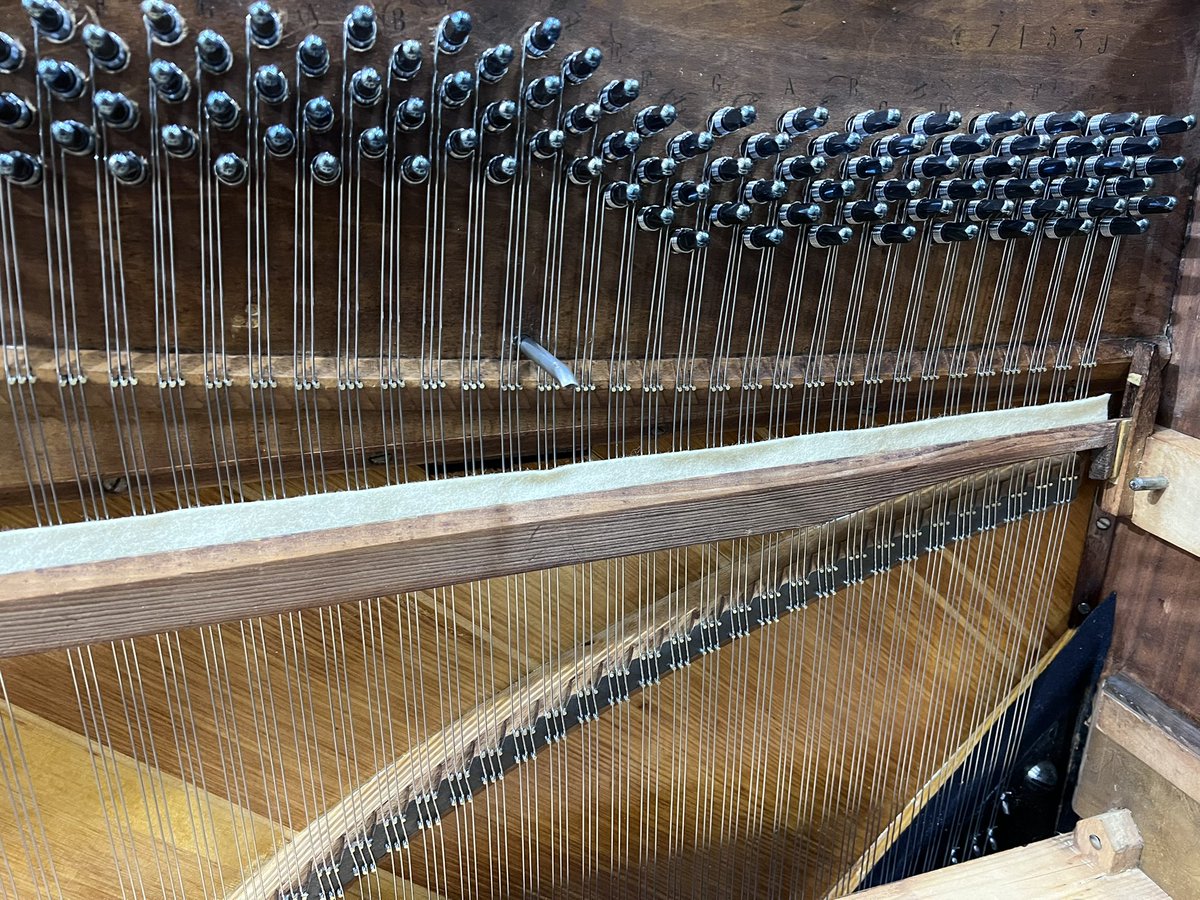 ヒナぞー tweet media