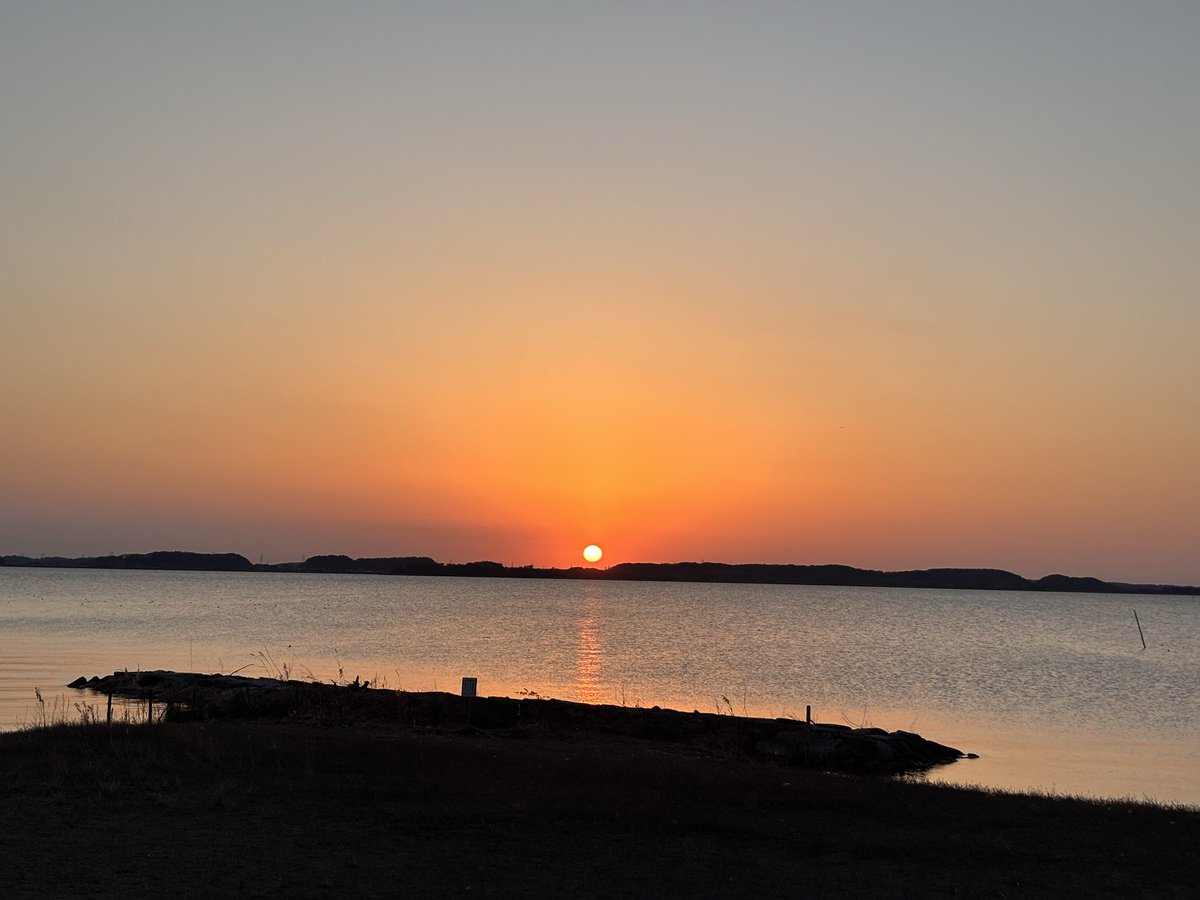 roly-poly 🐈 tweet media