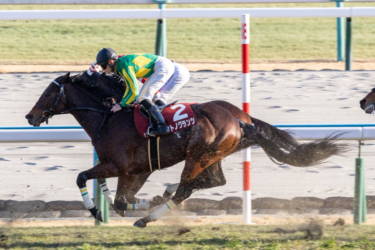 mayu (@my1_mayu) / Posts / X