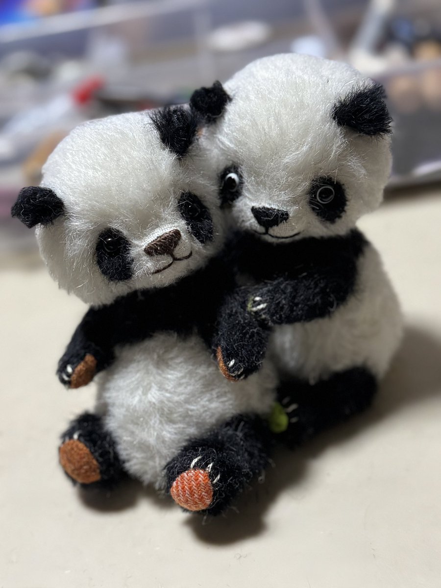 人気作家 しろくろや レッサーパンダ 作家ぬいぐるみ アーティストベア