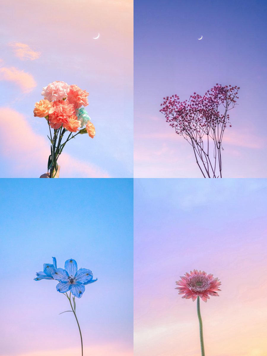 お花が好きな人に届きますように。