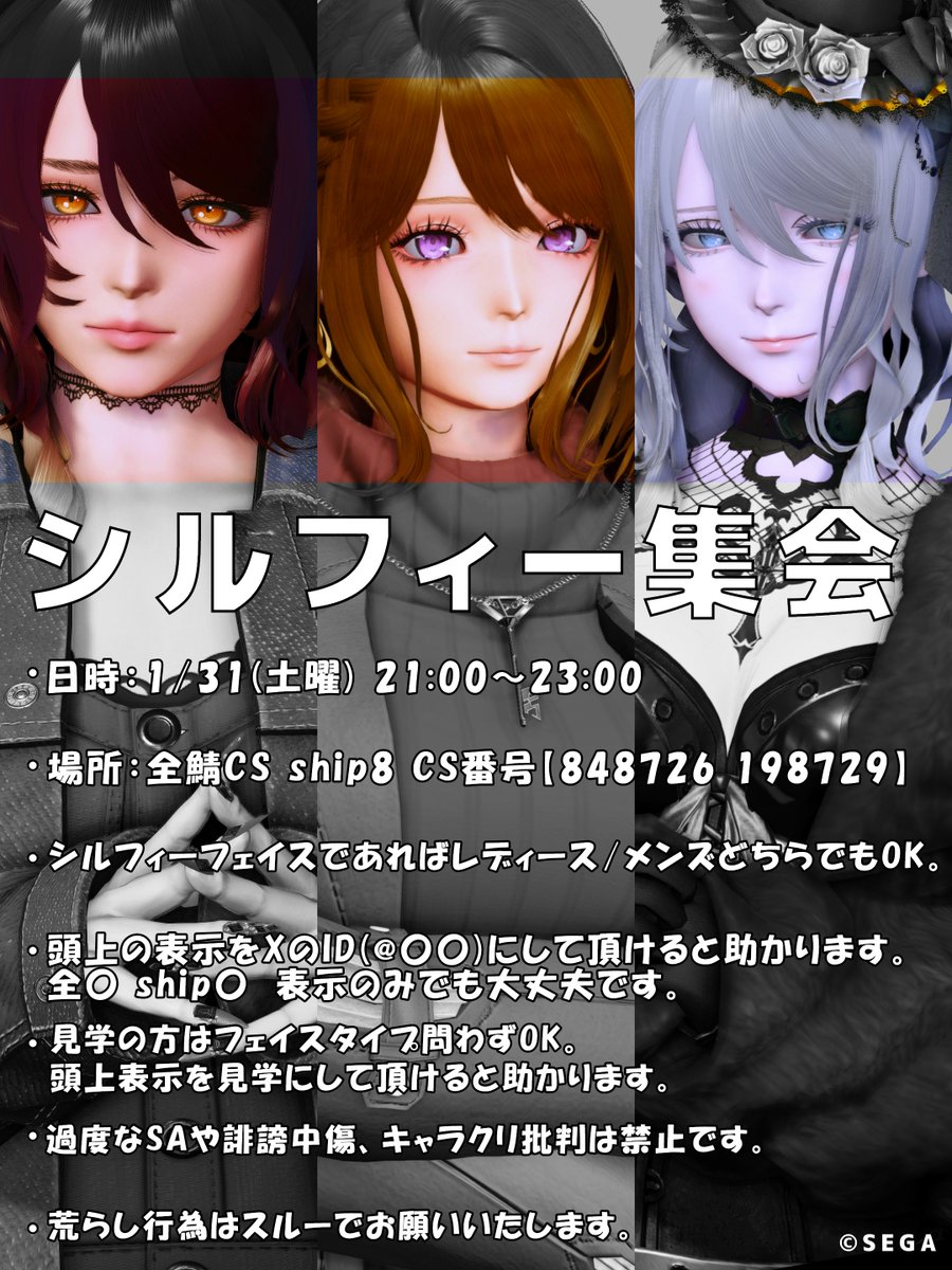 hathizon's tweet image. #PSO2NGS_SS
#シルフィー集会
改めて告知！
画像はななりーさん(@Nunnally_pso2n)に作って頂きました！
また、前回のSSに使用したロゴはルコさん(@LucoLucoLucco)に作成して頂いてますー！
2人ともありがとう～～！！