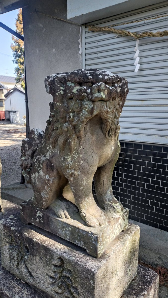 大心 (@17G6P5td1wOBglk) / Posts / X