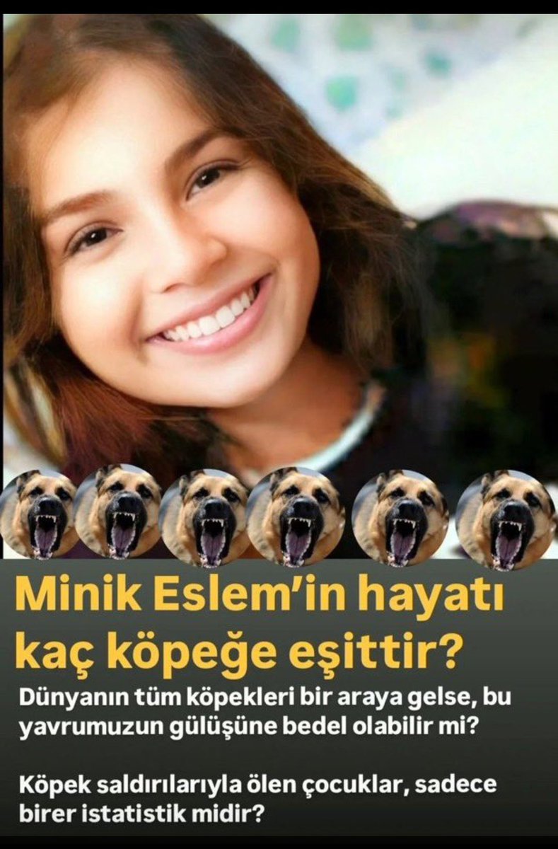 Eslem köpek dişlerinde can verdi
#Eslem 18.01.2025
Sebep olanlar cezalandırılmadı.