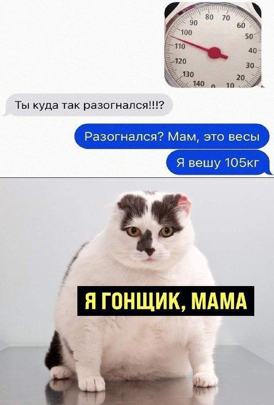 Borsique😺 (@borsique) on Twitter photo 