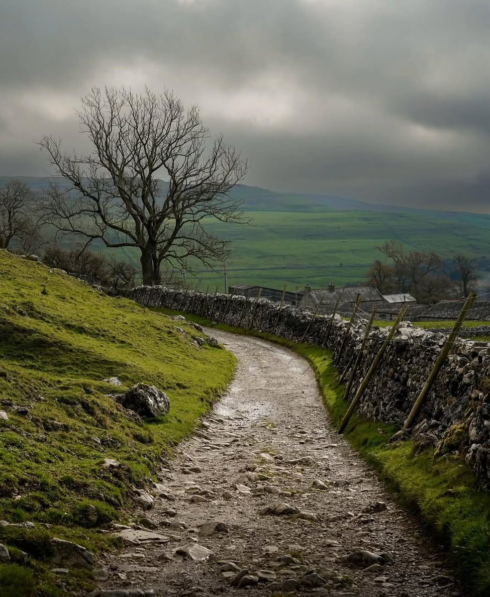 visitnorthyork's tweet image. Let's go for a walk 🚶🏼‍♂️