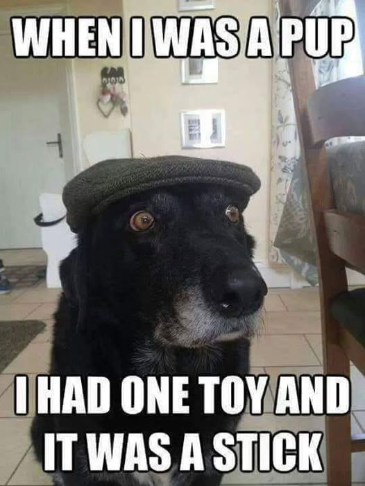 woofknight's tweet image. 