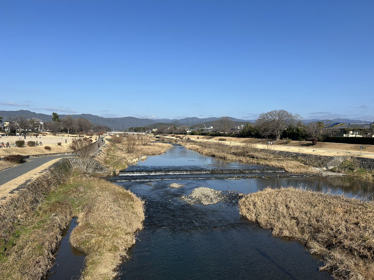 セン…共通テスト2日目　お疲れ様でした
今日も賀茂川は人と水鳥で賑わっています🦆
大学生になった皆さまと魚観察や鳥見んぐができる日をお待ちしています