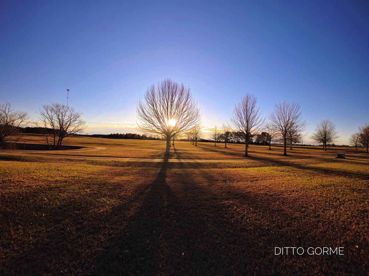 Ditto Gorme tweet media