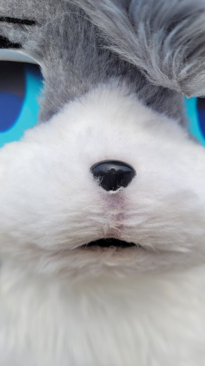 _5igma's tweet image. (설레는 거리)

🦊:@kufursuit