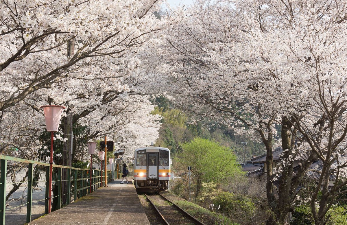 stobyms's tweet image. ゲームの協力プレイで仲間に迷惑かけて申し訳なくなった 🦇