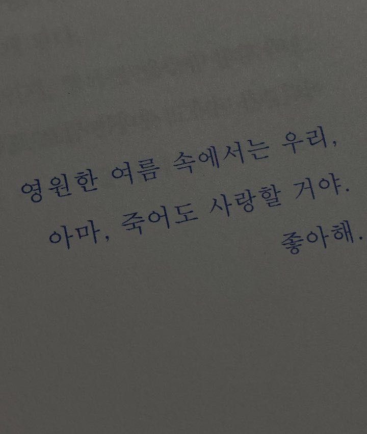 찬별 tweet media