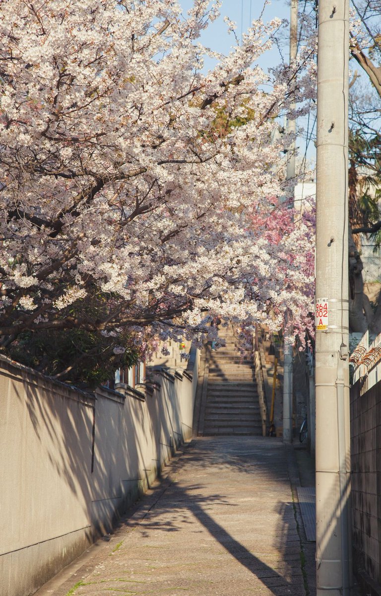 GiuliaDan's tweet image. 今日は仕事で失敗して落ち込んでる
明日頑張ろう 🤴