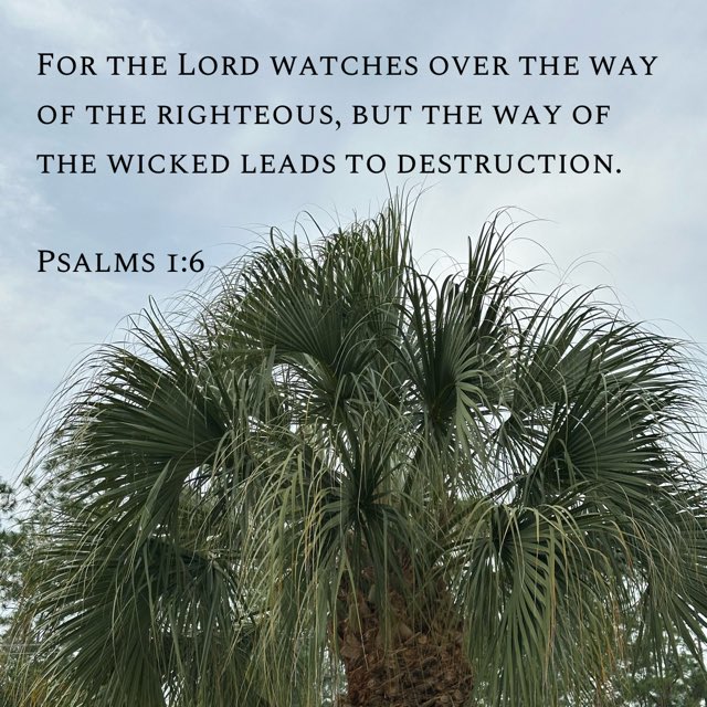 ScottWalker's tweet image. For the Lord watches over the way of the righteous, but the way of the wicked leads to destruction.

Psalms 1:6