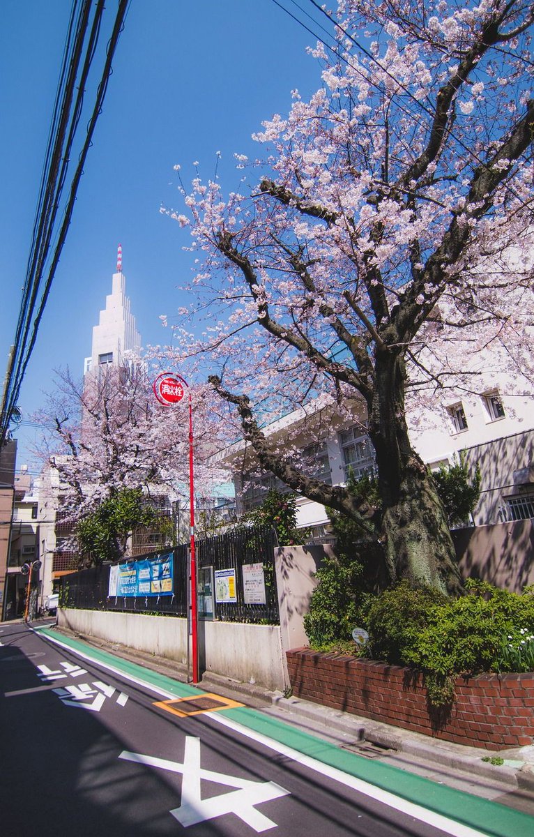 DeddeC's tweet image. 手作りキャンドルに挑戦してみた
火を灯すのが楽しみ 🤔