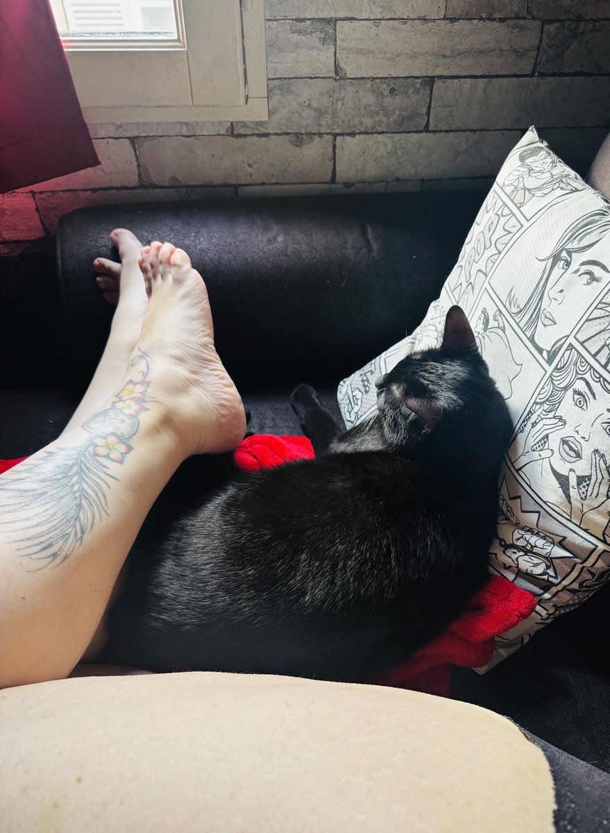 J'ai cuisiné un poulet rôti, du riz aux oignons et aux champignons, on a mangé une galette et j'ai eu la fève...
Puis regarder Tulsa King saison 3, comme ça tous les deux. Que j'aime ces dimanches comme ça avec #Lui ❤️🥰