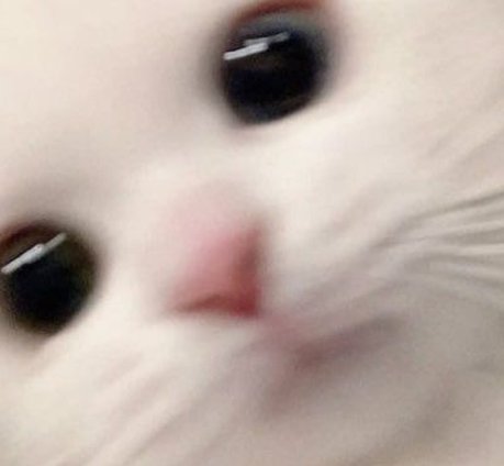 bibinity's tweet image. 新しいゲーム買ったから今夜は夜更かし確定 🤩