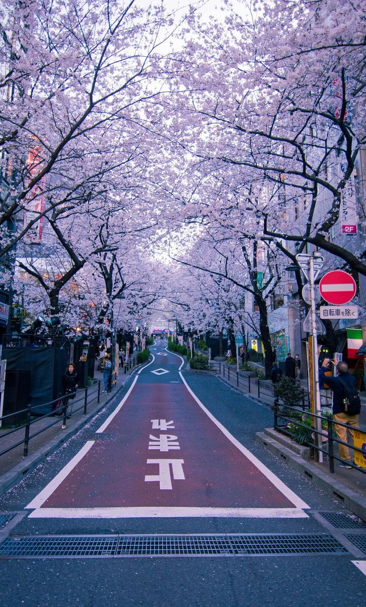 Kevinfoo007's tweet image. 課題が山積みなのにやる気が全然出なくて、ベッドでゴロゴロしている時間がもったいない 🕷️