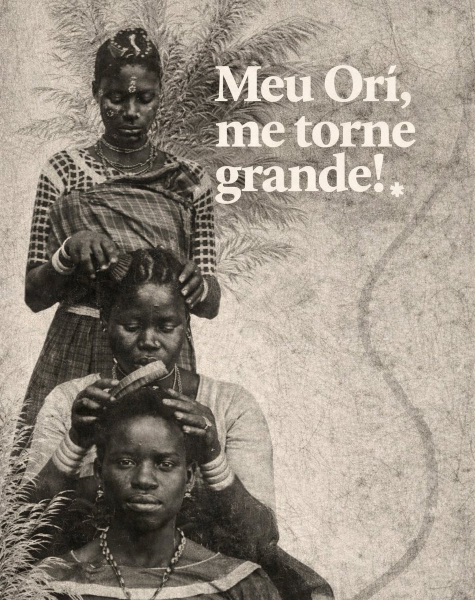 bruxocris's tweet image. 