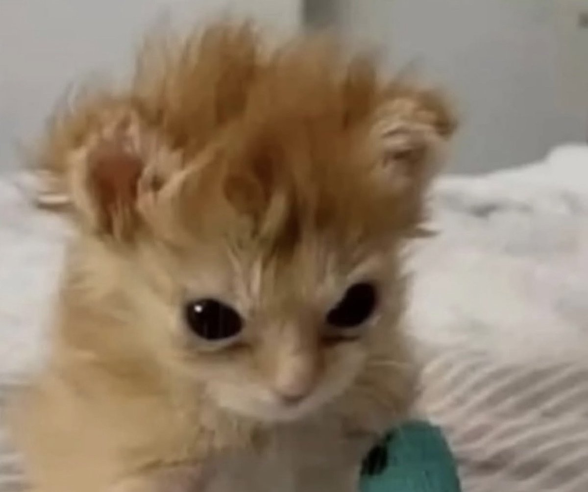 Imagínate verme todas las mañanas y que yo esté así: