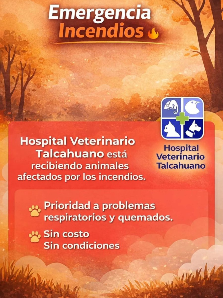 #Talcahuano #Concepción #Penco #Lirquén #Tomé  #Incendios