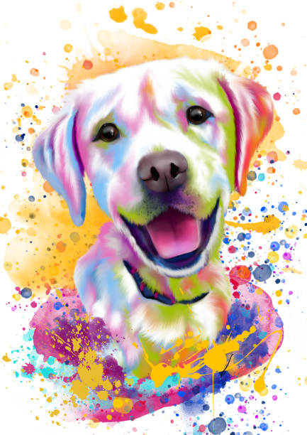 Shai Vaz tweet media