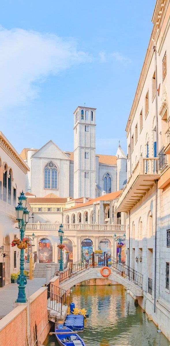 ShawSnaps's tweet image. 今日の会議が長すぎて疲れた 🍟