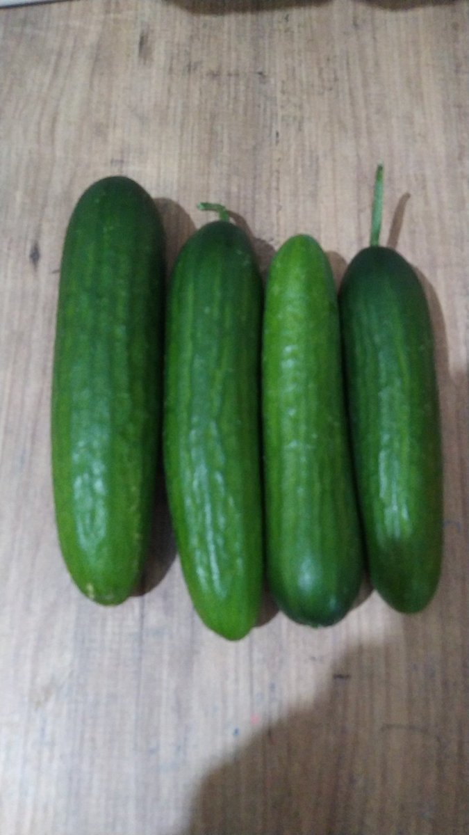 Şu dört salata 4 salata yazıyla rakamla her neyse 100 TL amk Yüzzz..🤬